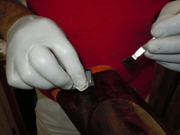 Click to enlarge photo